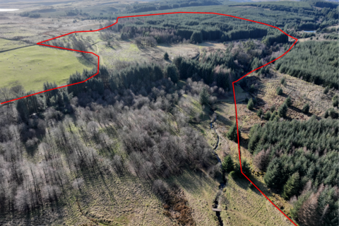 Lochwinnoch PA10 Woodland for sale