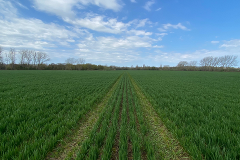 Gravelly Ways, Laddingford ME18 Land for sale