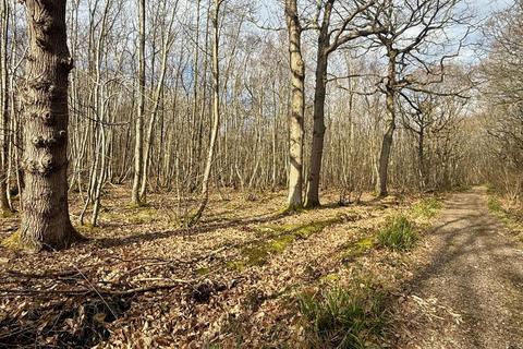 Moore Wood, Dunkirk, Faversham, Kent Land for sale
