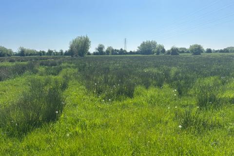 Middle Drove, Westonzoyland, TA7 Farm land for sale