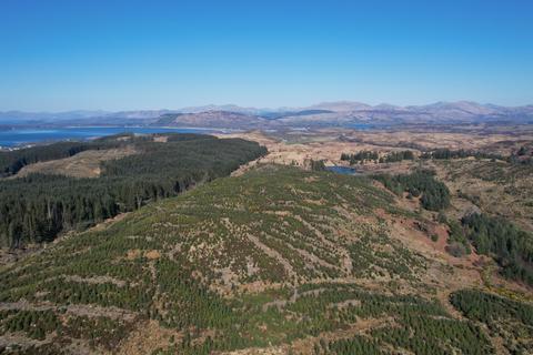 Polvinister Wood, Oban, Glencruitten... Woodland for sale