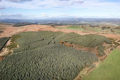 Lot 3