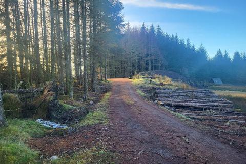 Rutting Season 10, Spean Bridge, Fort... Land for sale