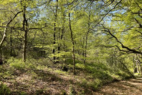 Cwm Tawel, Cynwyl Road, Carmarthen SA33 Woodland for sale