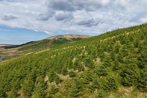 Waterhead Hill, Near Lennoxtown, East... Woodland for sale