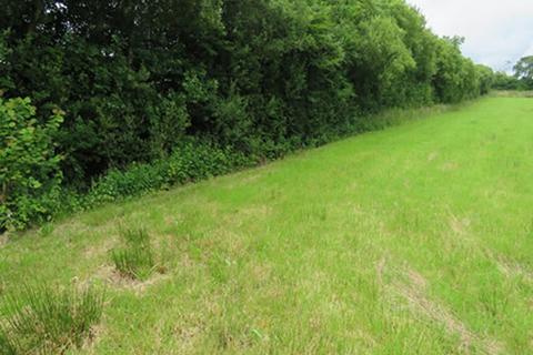 Hollacombe, Holsworthy, Clawton... Land for sale