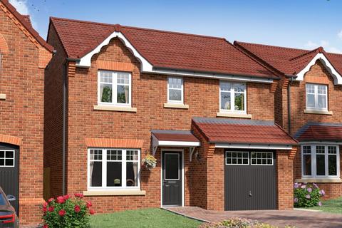 Plot 5