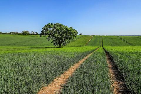 Itchen Down Farm 3 bed farm house for sale