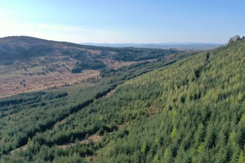 Ryes Forest, Bogknowe, Dumfries and... Woodland for sale