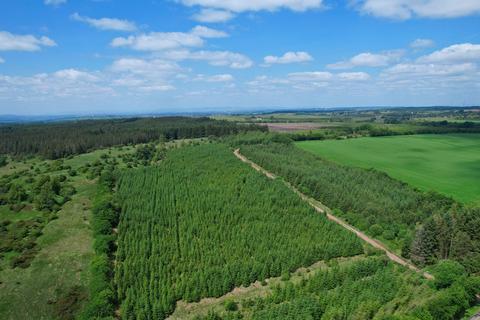 Drumsmuir Wood, Near Carluke, South... Woodland for sale
