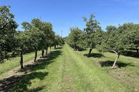 Hambridge, Langport Land for sale