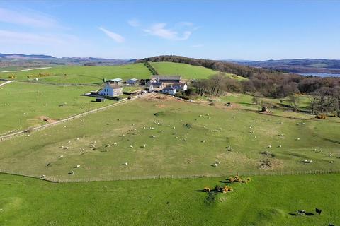 Lot 7