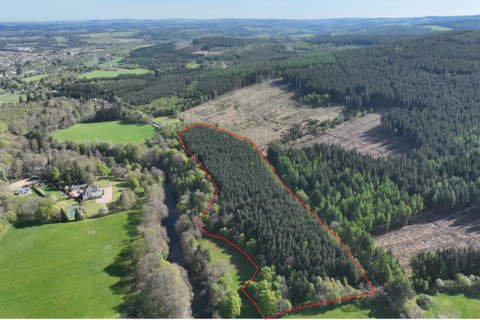 Strachan AB31 Woodland for sale