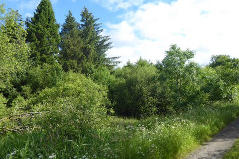 Auchentroig Wood, Buchlyvie FK8 Woodland for sale
