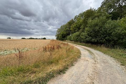 Acheson Wood, Shadingfield NR34 Woodland for sale