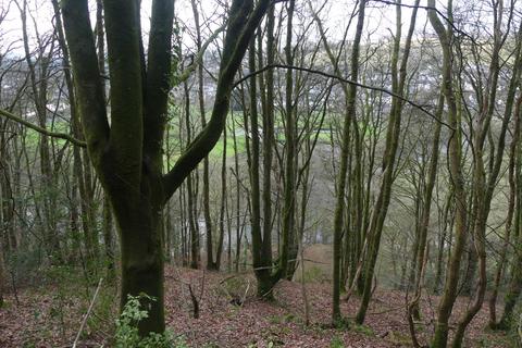 Cob Wood, near Llandysul SA44 Woodland for sale