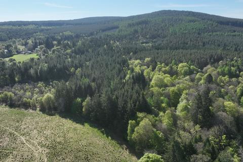 Minnonie Woodland, Banchory AB31 Woodland for sale