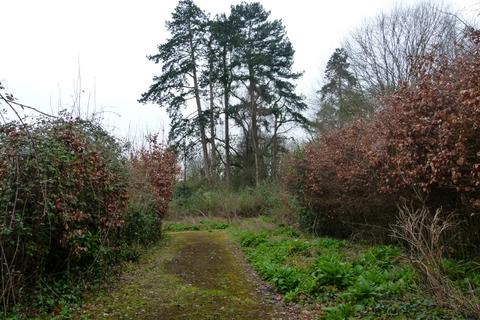 Wibdon Wood, Tutshill NP16 Woodland for sale