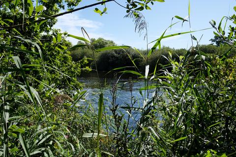 Ferry Lane, Postwick NR13 Woodland for sale