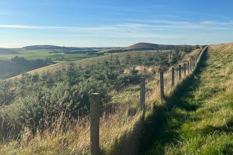 Langlawhill Wood, Broughton, Biggar ML12 Woodland for sale