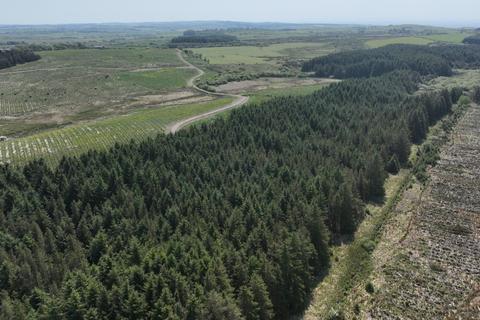 Chilcarroch & Flow of Elrig, Port... Woodland for sale