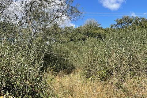 Coed Wern Isaf, Llangynog SA33 Woodland for sale