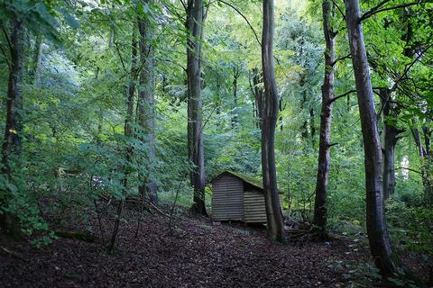 Whiteway, Dursley GL11 Woodland for sale
