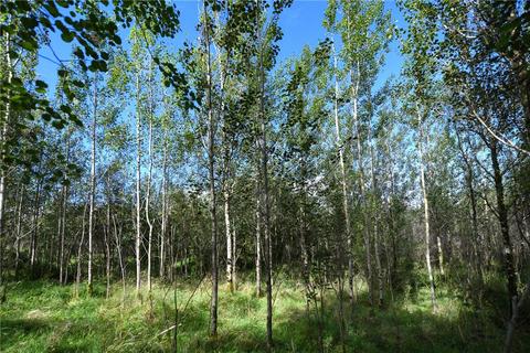 Glenquicken Aspen Woodland