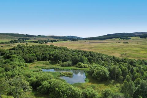 Soilzarie Wood, Blairgowrie  PH10 Woodland for sale