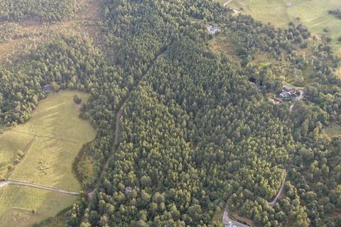 Tulloch Wood, Nethy Bridge PH25 Woodland for sale