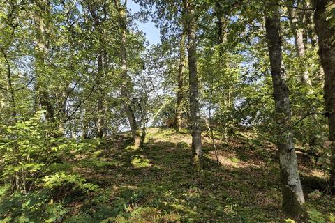 Cynghordy SA20 Woodland for sale