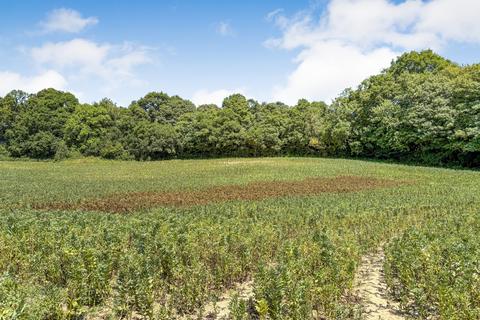 Riccards Lane, Whatlington, TN33 Land for sale
