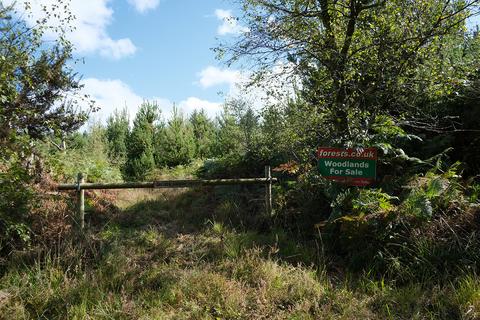 Chelson Lane, Harcombe EX10 Woodland for sale