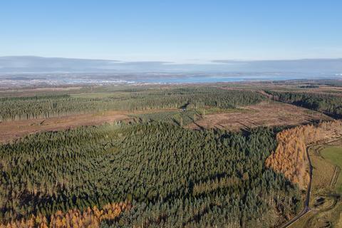 Inverernie Forest, Near Daviot... Woodland for sale