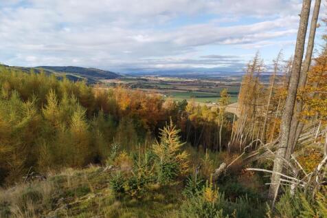 Ayton Woodlands, Aberargie, Perth, PH2 Land for sale