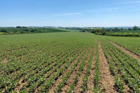Farm land for sale