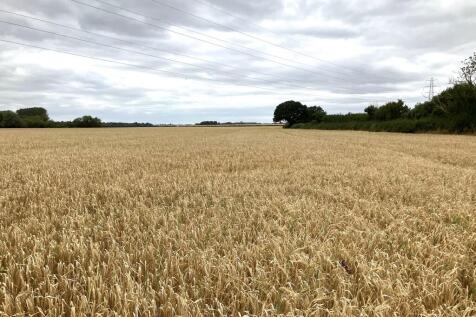 Farm land for sale