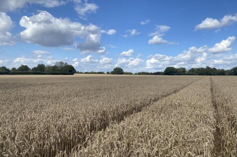 Farm land for sale