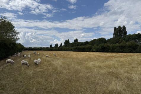 Farm land for sale