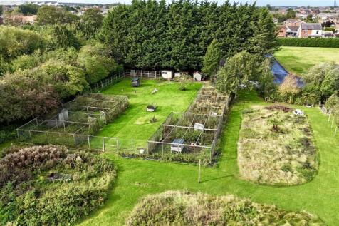 Plot for sale