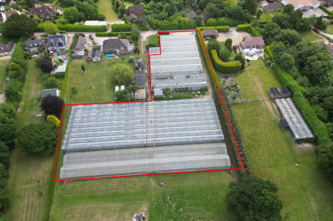 Smallholding for sale