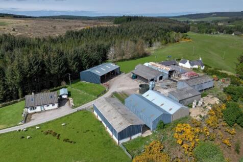 Farm land for sale