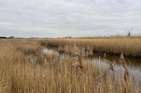 Marsh, Reedbed & River Wall at Limpenhoe Land for sale