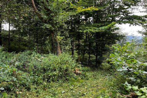 Area of Woodland at, Llangenny... Land for sale