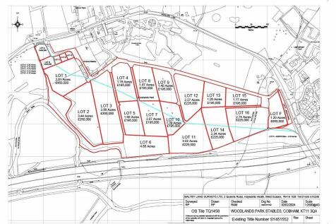 Woodlands Lane, Stoke d'Abernon... Plot for sale