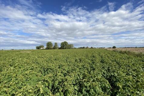 Farm land for sale