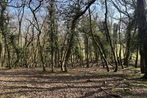 Pencarreg, Llanybydder Land for sale
