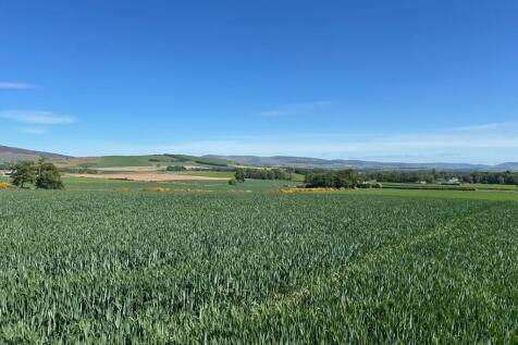 Land at Balrennie Farm, Brechin DD9 Farm land for sale