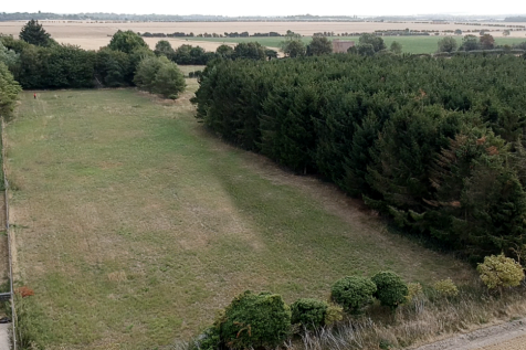 Plot for sale