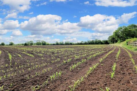 Farm land for sale